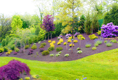 landscape-design-1